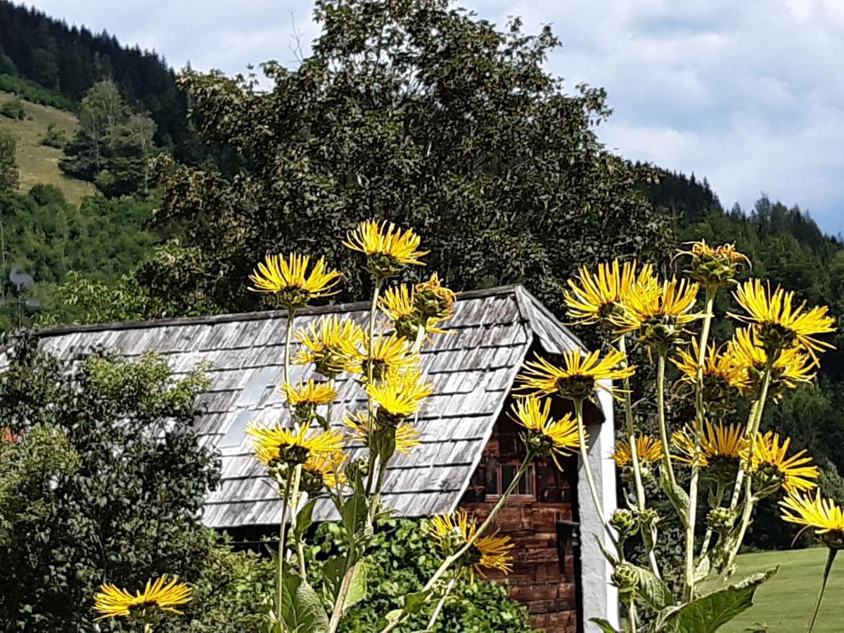 Troadkasten - Ferienhaus Am Bio-Bergbauernhof Aflenz Kurort Exterior photo