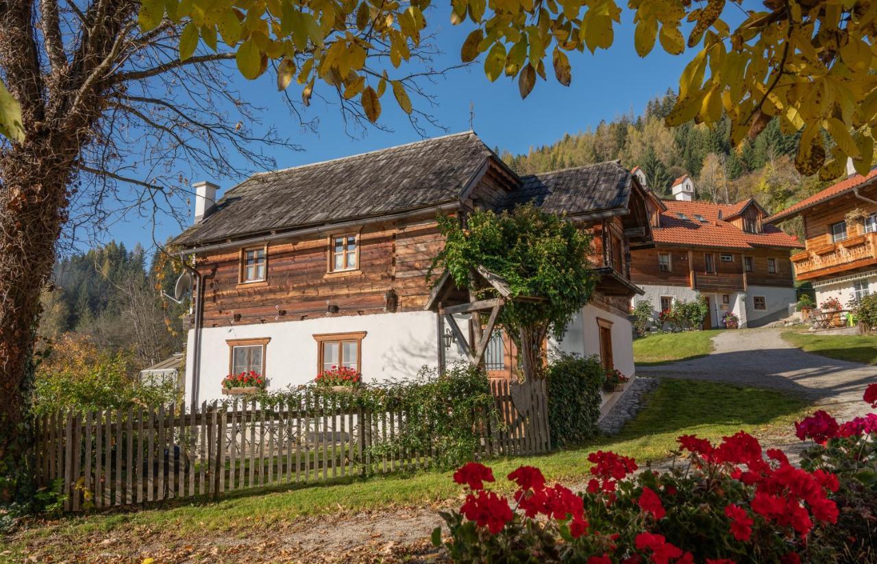 Troadkasten - Ferienhaus Am Bio-Bergbauernhof Aflenz Kurort Exterior photo