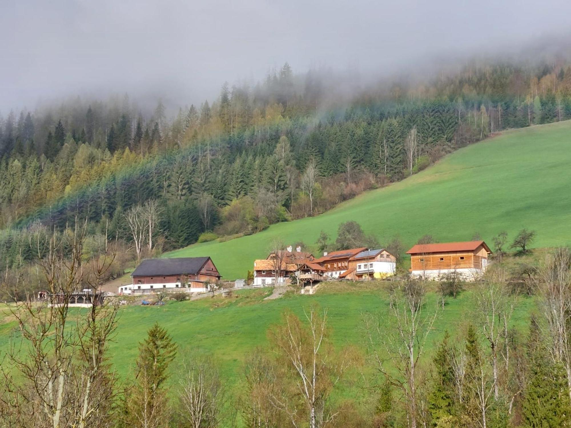 Troadkasten - Ferienhaus Am Bio-Bergbauernhof Aflenz Kurort Exterior photo